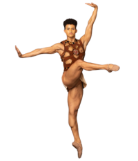 Dancer image